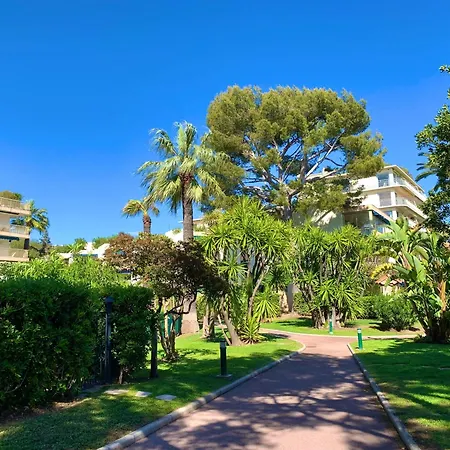 Front De Mer, 30m2 Piscine & Cannes